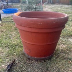 Plant Pot (maceta )
