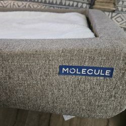 MOLECULE - ORTHOPEDIC 2XL WASHABLE DOG BED 