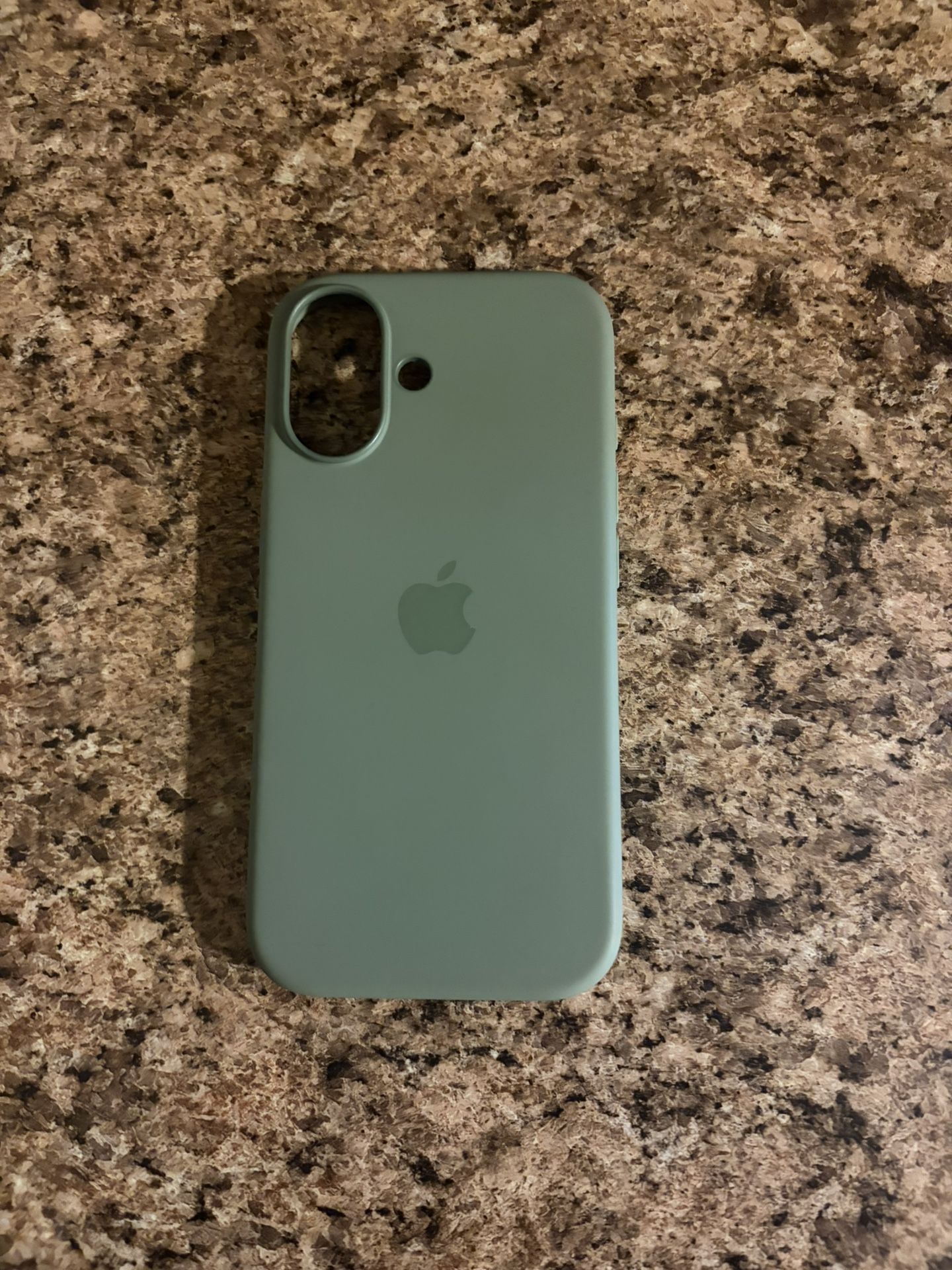 iPhone 17 Apple Case Sage Green 