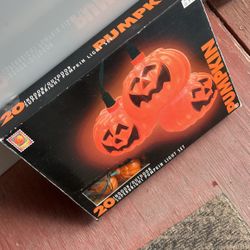 20 Indoor/Outdoors Super Bright Lights Set Great For House 