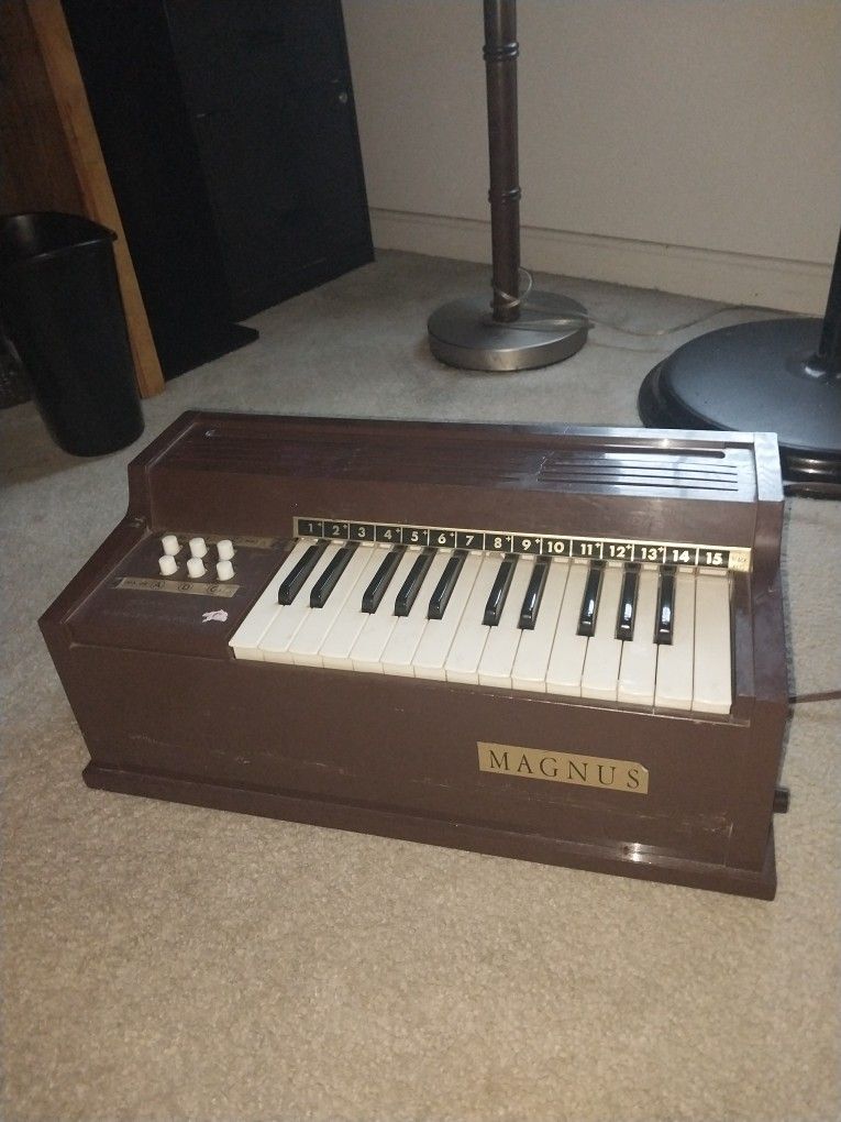 Mini Organ