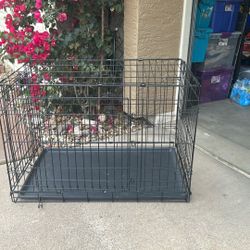 Top Paw 36 Inch Double Door Folding Crate 22” X 24 1/2” X 36” -64th St & Bell