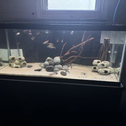 Fish tank With Stand