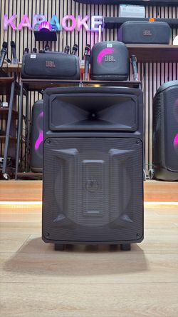 Large Portable PA Speaker System
