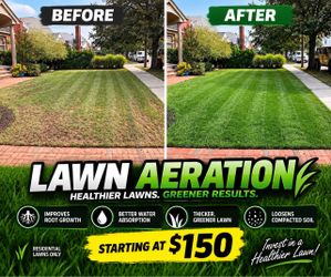 Lawn Aerator