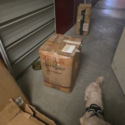 Cat House