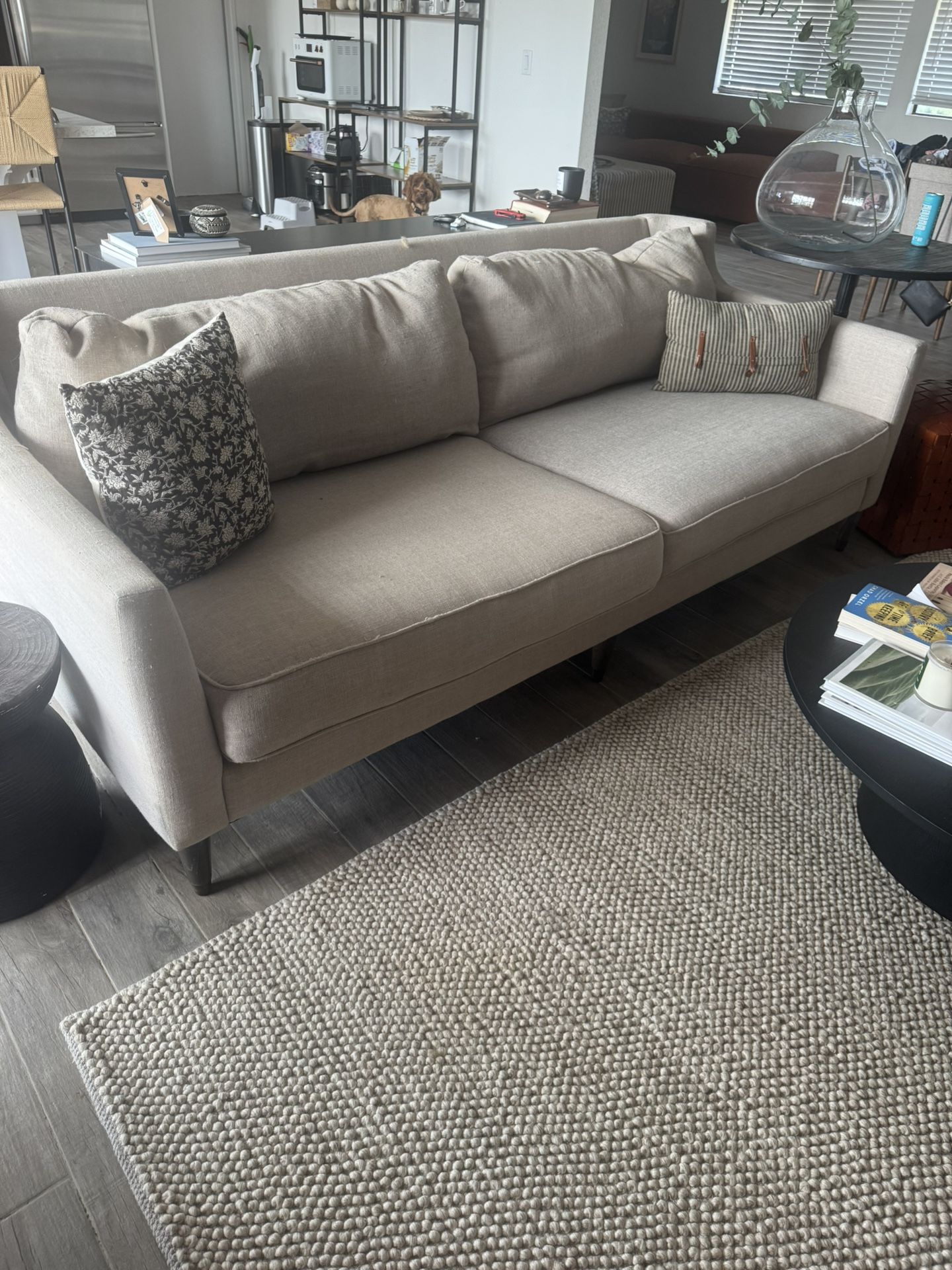Gray Sofa