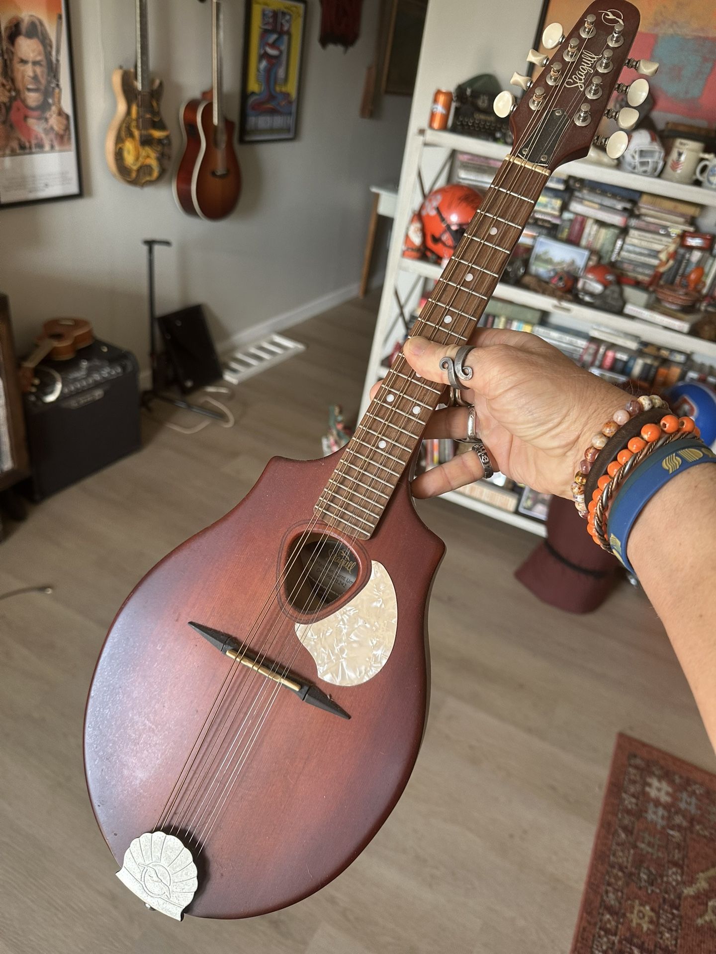 Seagull Acoustic Mandolin