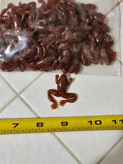 Custom frog baits
