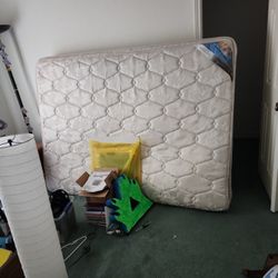 Queen Size Serta Carnation Pillow Top