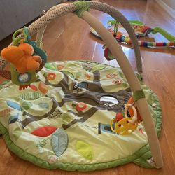 Skip Hop Baby Activity Mat
