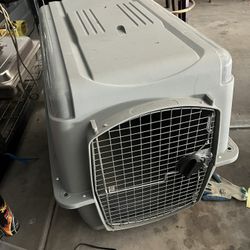 Dog Cage 
