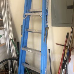 Werner 6ft Ladder $30