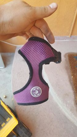 Small dog harness