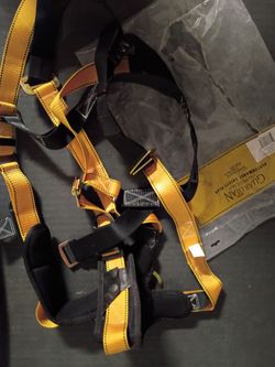 Guardian harness