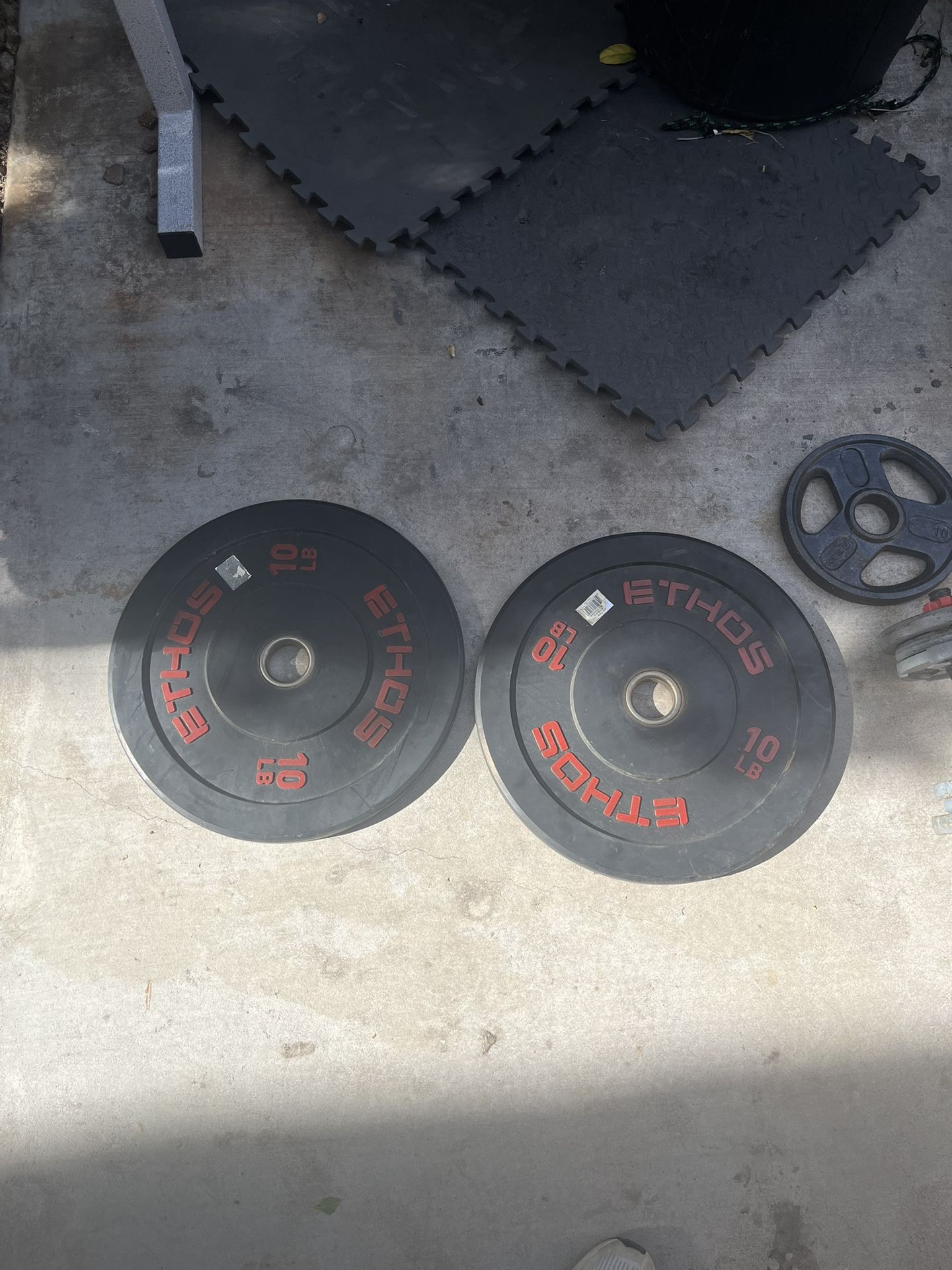 Gym Equipment 