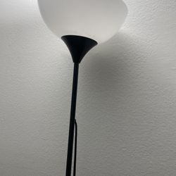 2 Floor Lamp