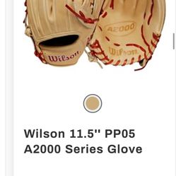 wilson A2000 glove