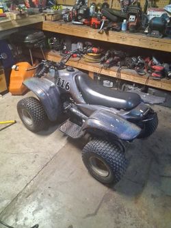 Adly 2 stroke Four wheeler with Custom Paint