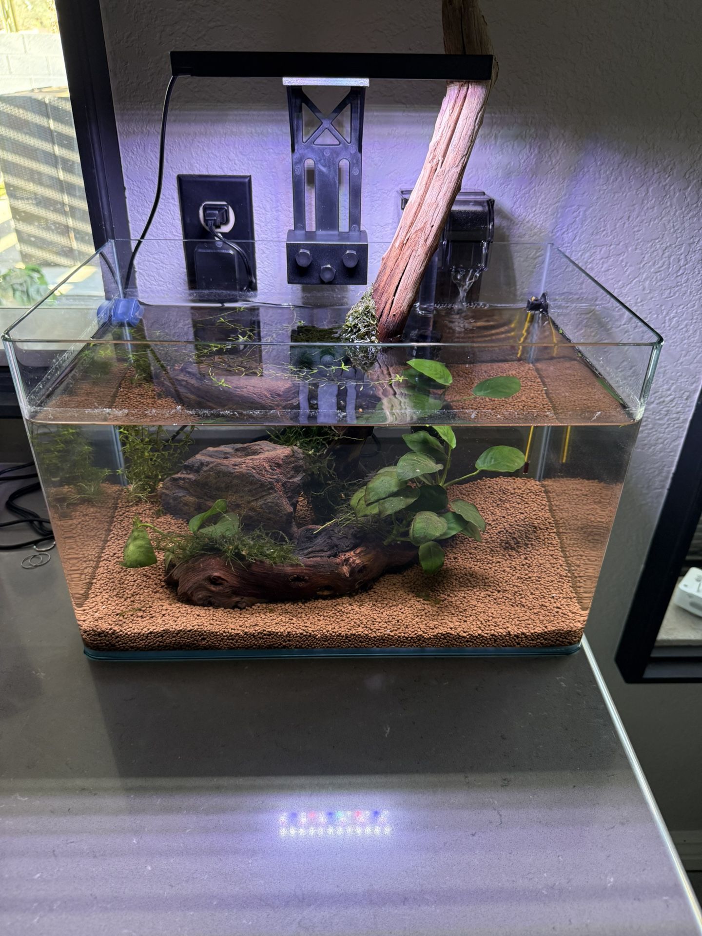 7 Gallon Aquarium Curved Edges