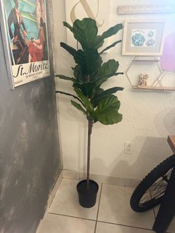 Artificial Indoor Plant
