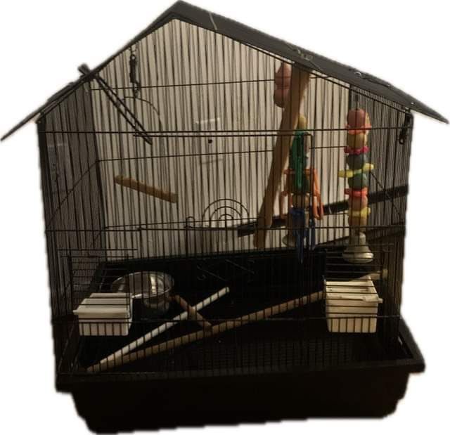 Bird cage 2’ x 2’ and 2 1/2 feet wide has everything with it