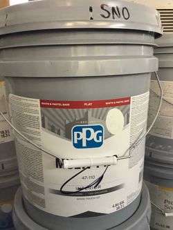 Interior Paint (Snowbound White)