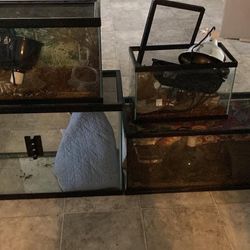 Reptile Supplies 