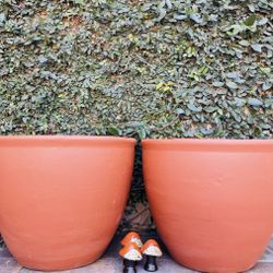 Set of 2 Large Bowl Pot Planters