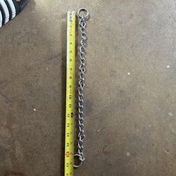 Dog Leash