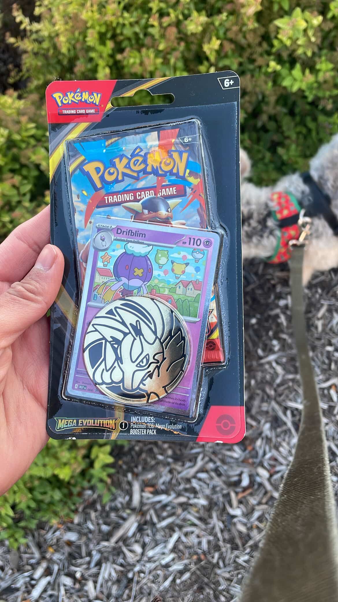 Pokemon Mega Evolution