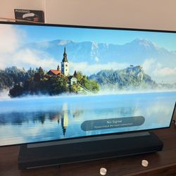 Beautiful 55 Inch Oled Priced To Sell