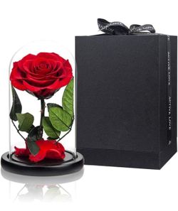 7.5in Preserved Roses Red Roses in Glass Dome, Medium, Preserved Flowers for Women