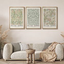 3 pc William Morris Framed Wall Art