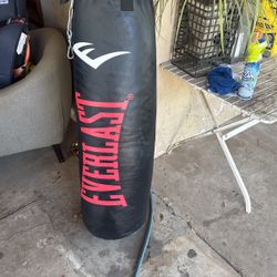 Punching Bag