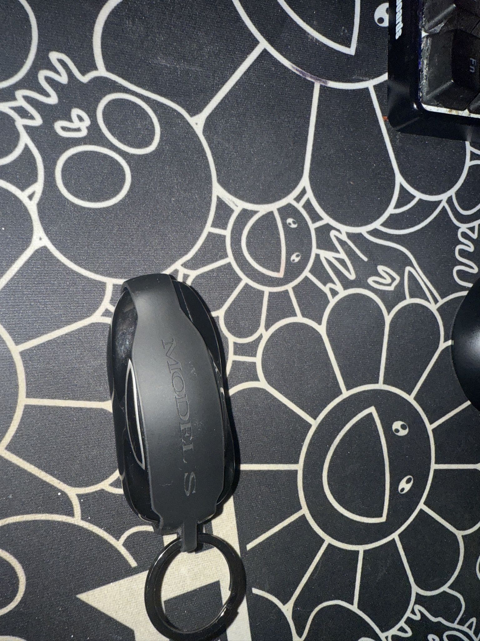 Tesla Model S key fob