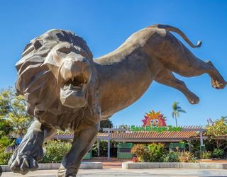 San Diego Zoo / Safari Park Tickets