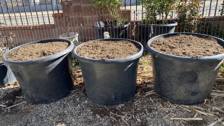 Tierra para plantar