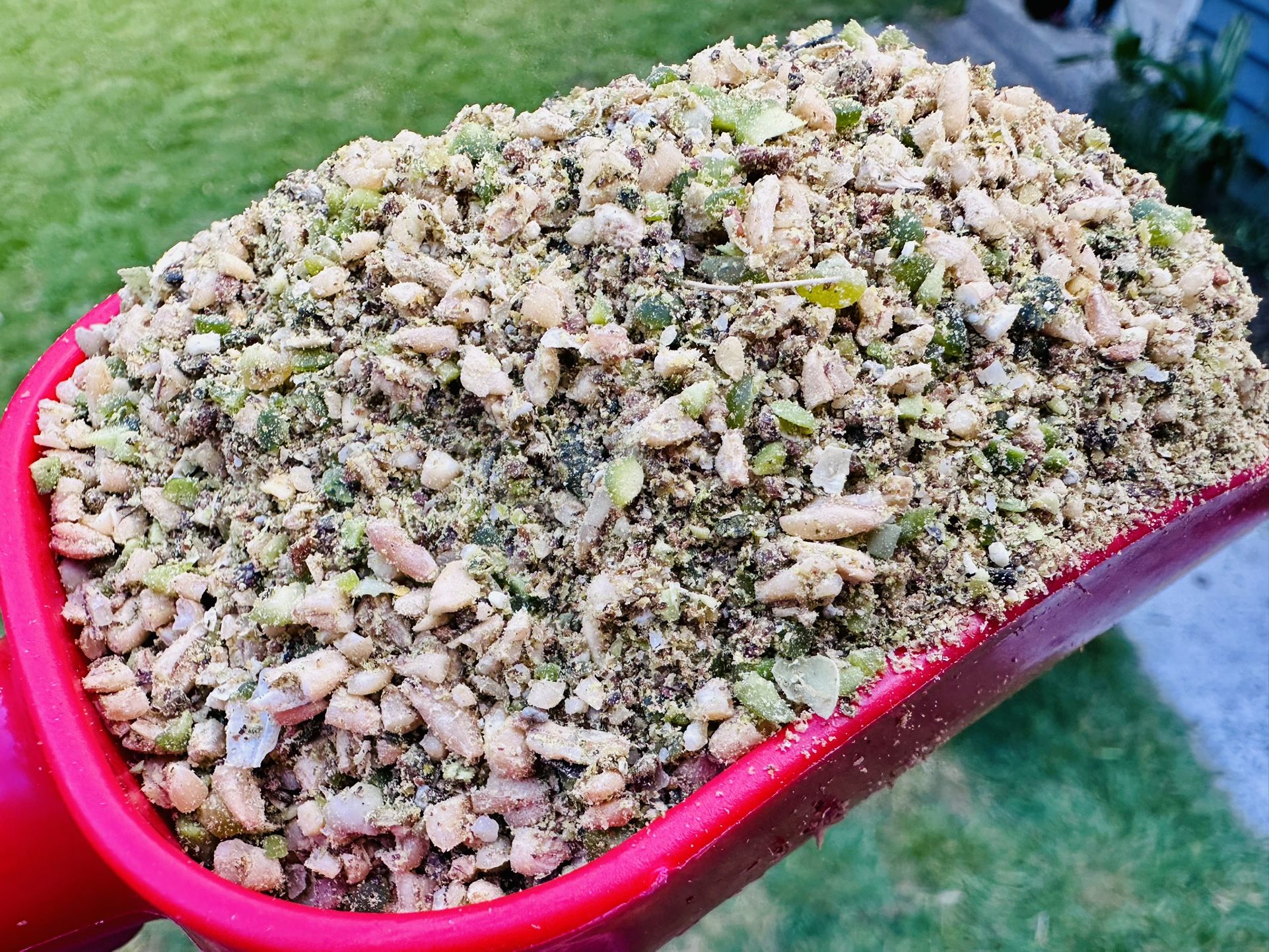 Chicken Feed