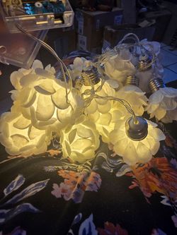 Luces de rosas blancas 16 piesas