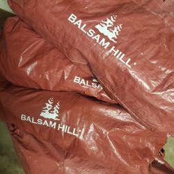 3 Balsam Hill Christmas Trees