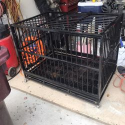 Dog Kennel 