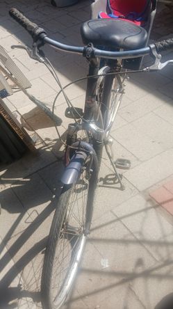 Schwinn Bicycle With Kid Seat