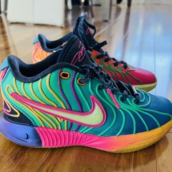 Amazing Kids Nike Sneakers Lebron Rare