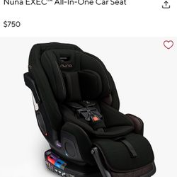 Nuna Car seat 