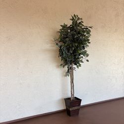 One Artificial Ficus Tree, Silk Tree Home Décor, 6 Feet Tall