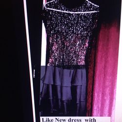 Sequin Lady’s Fancy Dress