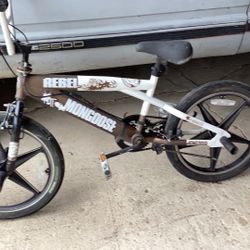 rebel mongoose
