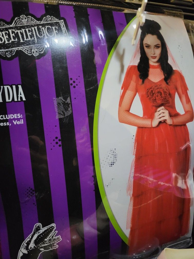 Lydia Deetz Costume SZ L