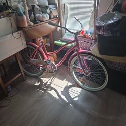 Pink Floral Bike
